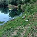 Gostinjska kuća Apartman Oaza Deli Dropci