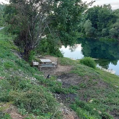 Oaza Deli *