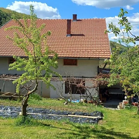 Oaza Deli